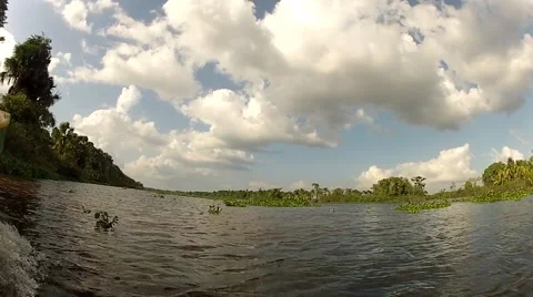 River Crossing in Orinoco Delta Stock Footage 43386188