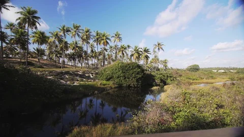 River crossing a tropical forest 動画素材 128094409