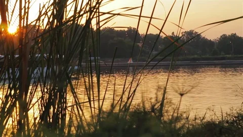 River cruise on the river 스톡 동영상 80186546