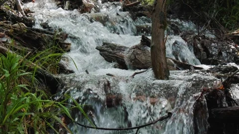 A river with crystal clear water. Stock Footage 241724718