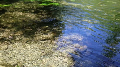 A river with crystal clear water Stock Footage 246808400