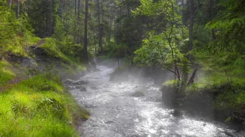 River with crystal clear water in the forest. Sun rays break through tree 스톡 동영상 246798619