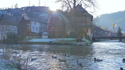 River with current drags a group of ducks swimming next to framed facades Stock Footage 124494927