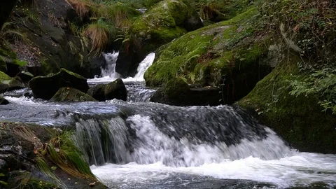 River current Stock Footage 119126577