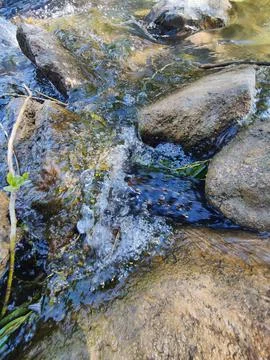 River current Stock Photos