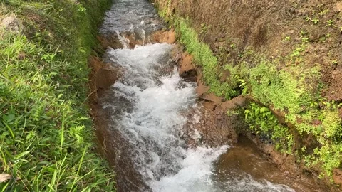 River currents suddenly become faster, higher volume of water flow Stock Footage 295495778