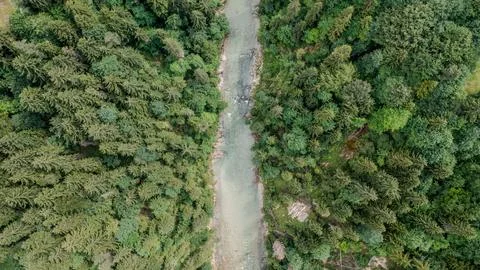 River Cutting Through Dense Forest Seen Straight from Above Stock Photos