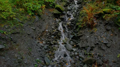 River cutting through rocks in forest  Stock Footage 294710469
