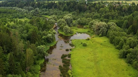 River cutting trough forest. Aerial drone footage Video stock 119630039