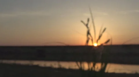 River,  cyclist Stockbeeldmateriaal 50407408