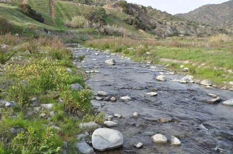 River in Cyprus 스톡 사진