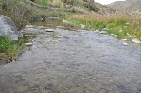 River in Cyprus Stock Photos