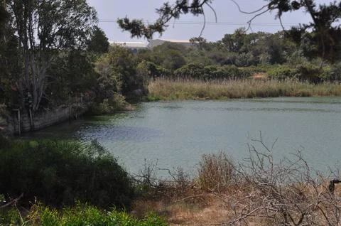 River in Cyprus Stock-Fotos