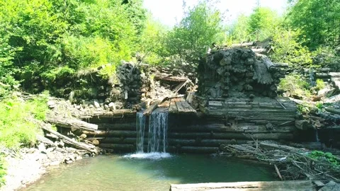 River dam and clean stream water in wood Stock Footage 289549875