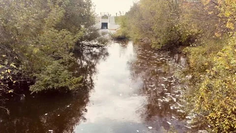 A river with a dam that flows through the forest Stock Footage 346527265