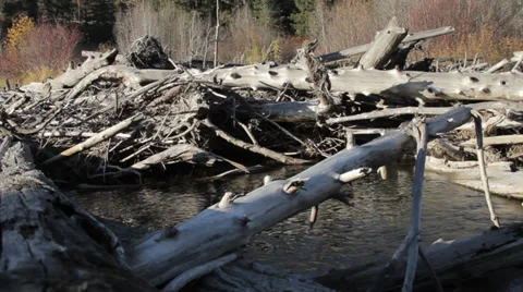 River Dam Stock Footage 32234223