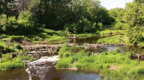 River dam in the park Stock Footage 51299879