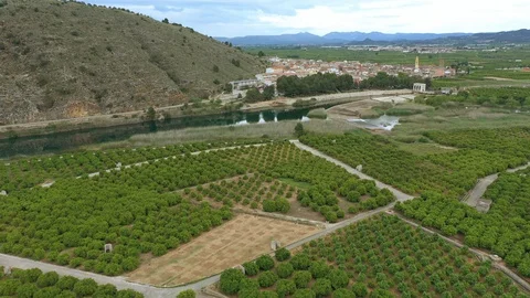 River dam in period of confinement spain valencia Stock Footage 130097406