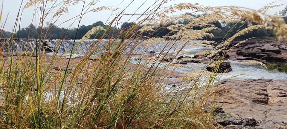 River dam Stock Photos