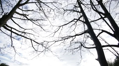 River Dam tilt Stock Footage 49277398