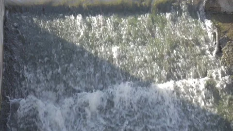 River dam of twigs on a small river Stock Footage 99170680