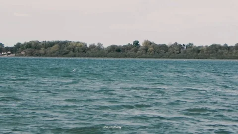 River Danube Belgrade4 스톡 동영상 97247112