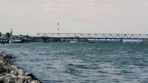 River Danube Belgrade6 스톡 동영상 97247138