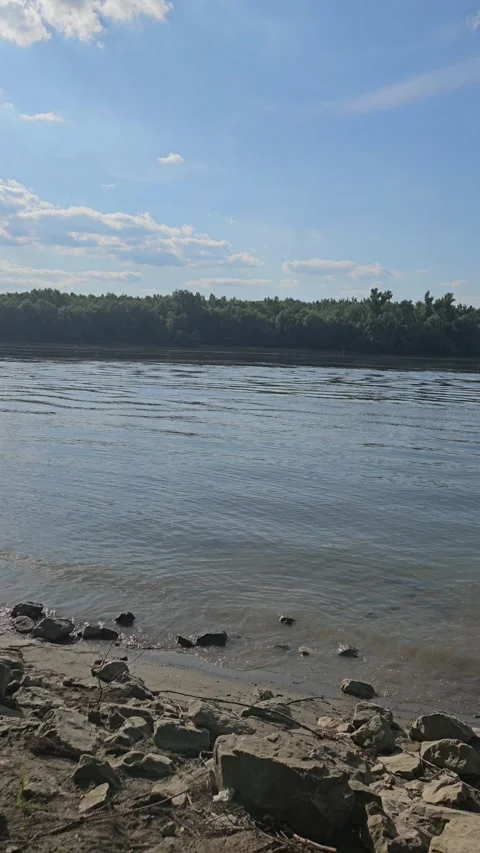 River Danube Stock Footage 309137695