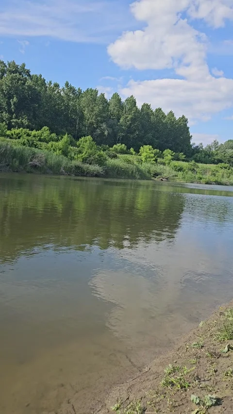 River Danube Stock Footage 309138938