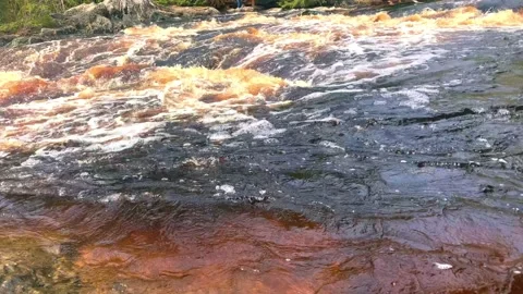 The river of dark brown color flows with... | Stock Video | Pond5