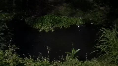 River in the Dark Night Stock-Footage 333841300