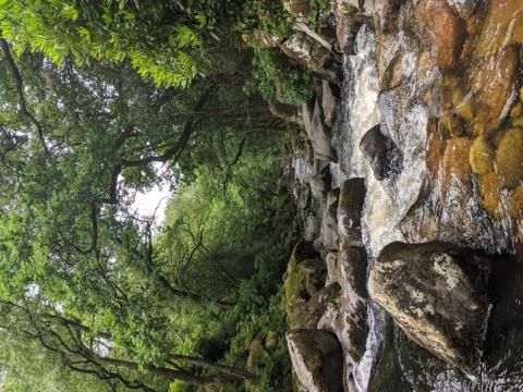 River Dart Devon Stock Photos