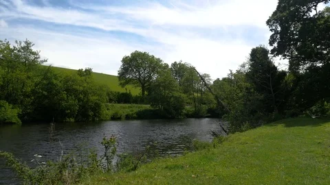 River Dart flowing between trees Stock Footage 76530215