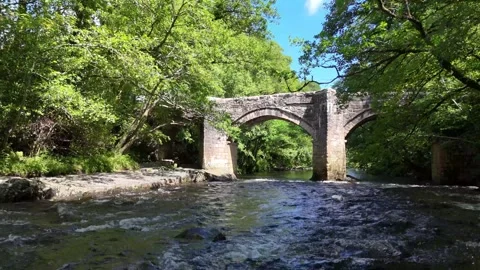 River Dart New Bridge Video stock 336719953