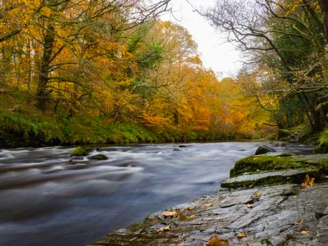 The river dart Stock Photos