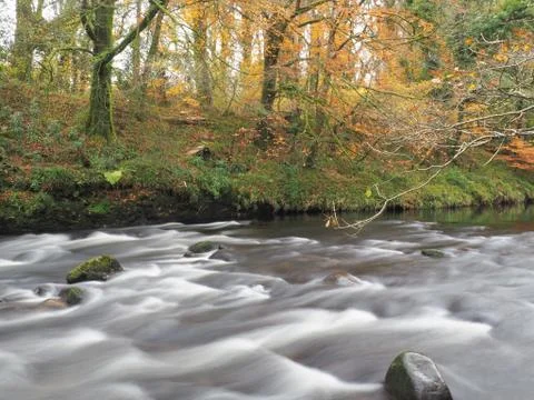 The river dart Stock Photos