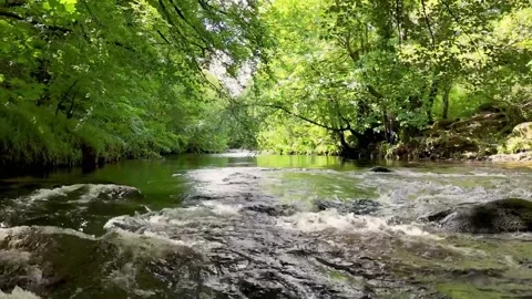 River Dart Reveal Video stock 336719951