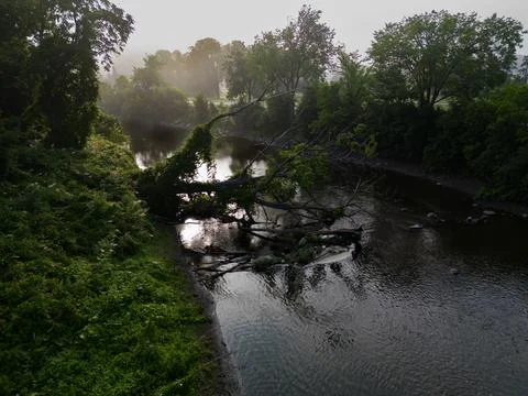 River at Dawn Stock Photos