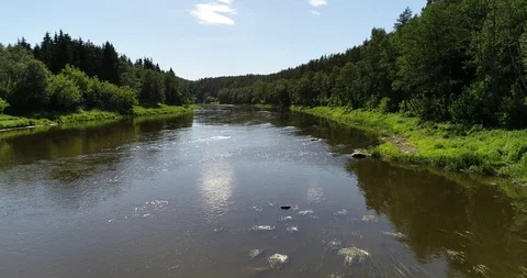 River at day Stock Footage 95066497