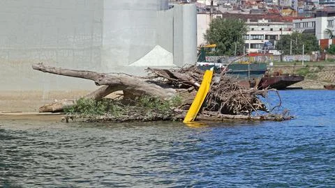 River debris bridge Stock Photos