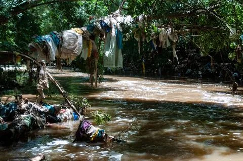 River Debris Caught on Tree Trunk – Water Pollution and Environmental Impact Foto stock