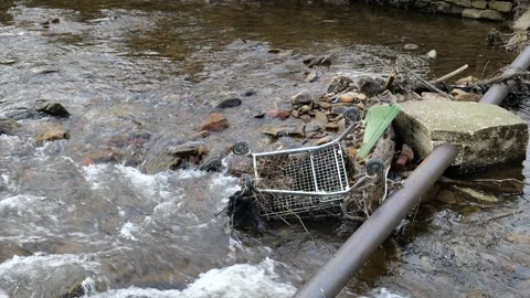 River debris Stock Footage 171624121