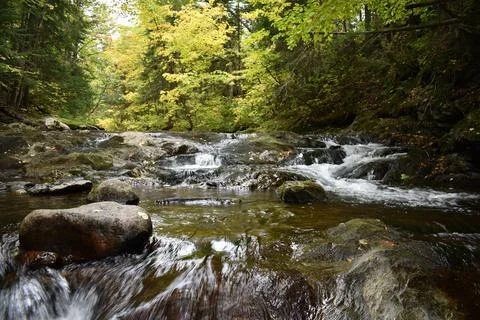 A river in a deciduous forest Stock Photos