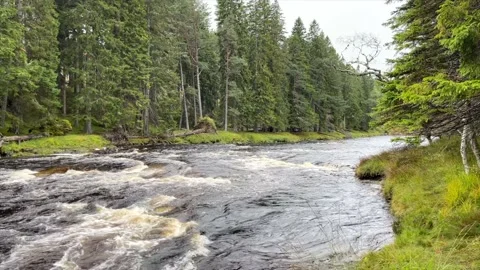 River Dee in the Cairgorms Stock Footage 165380434
