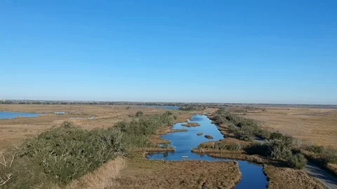 A river deep in the bayou with tall grass and clear blue sky Stock Footage 101402305