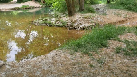 River deep in forest Vidéo 97321353