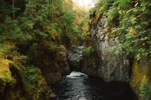 River in deep forest Stock Photos