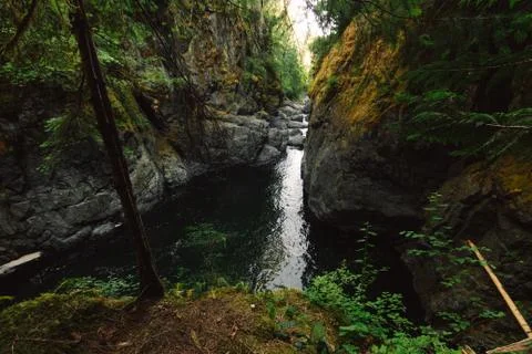 River in deep forest Stock Photos