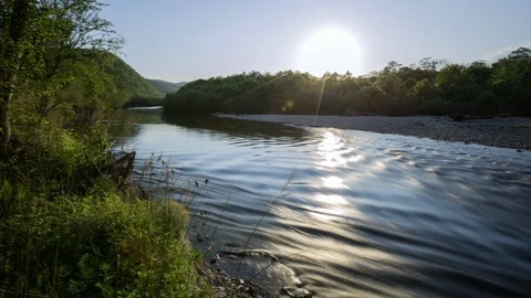River in deep forest, Russia Stock Footage 124132941
