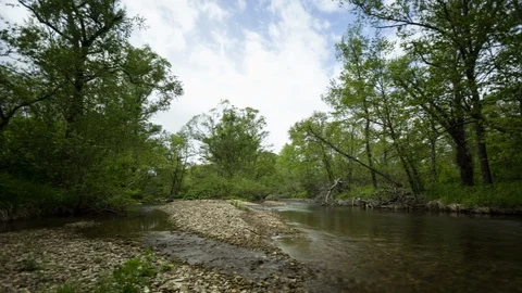 River in deep forest, Russia Stock Footage 124133495